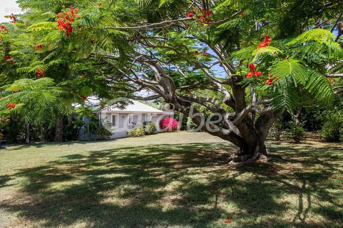 Maison à SAINT-MARTIN