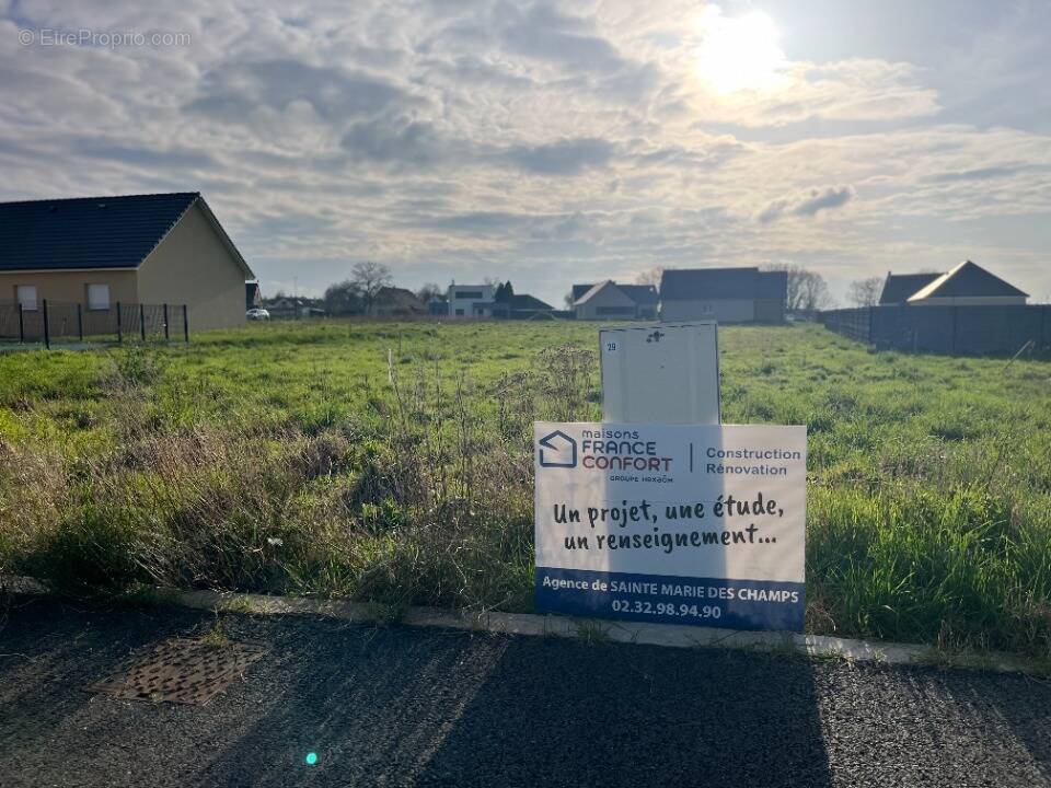 Terrain à PETIVILLE