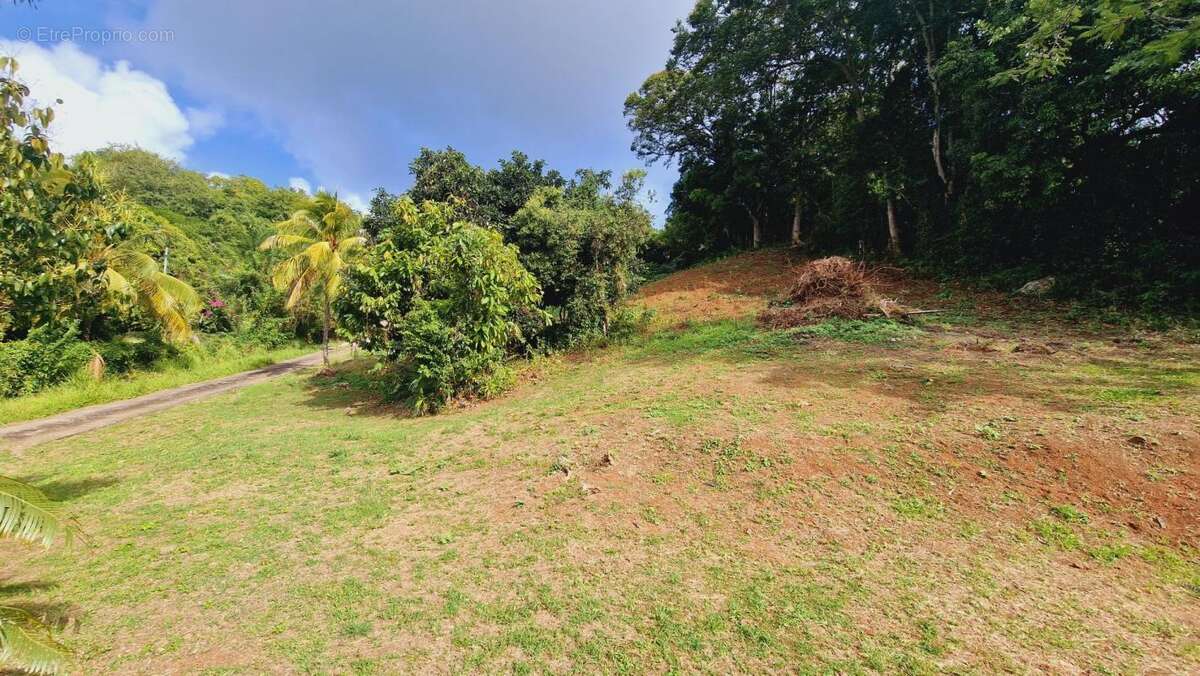 Terrain à LE FRANCOIS