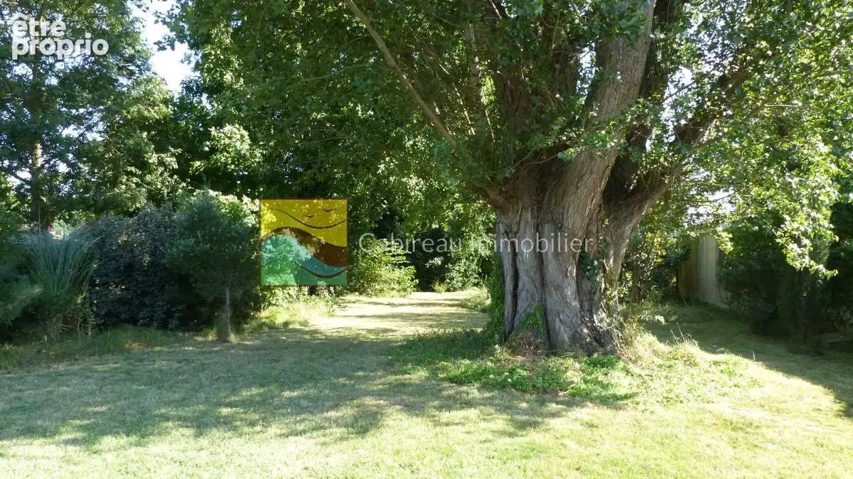 Carcans - Maison familiale 245 m2 - parcelle de 1364 m2 - photo 8