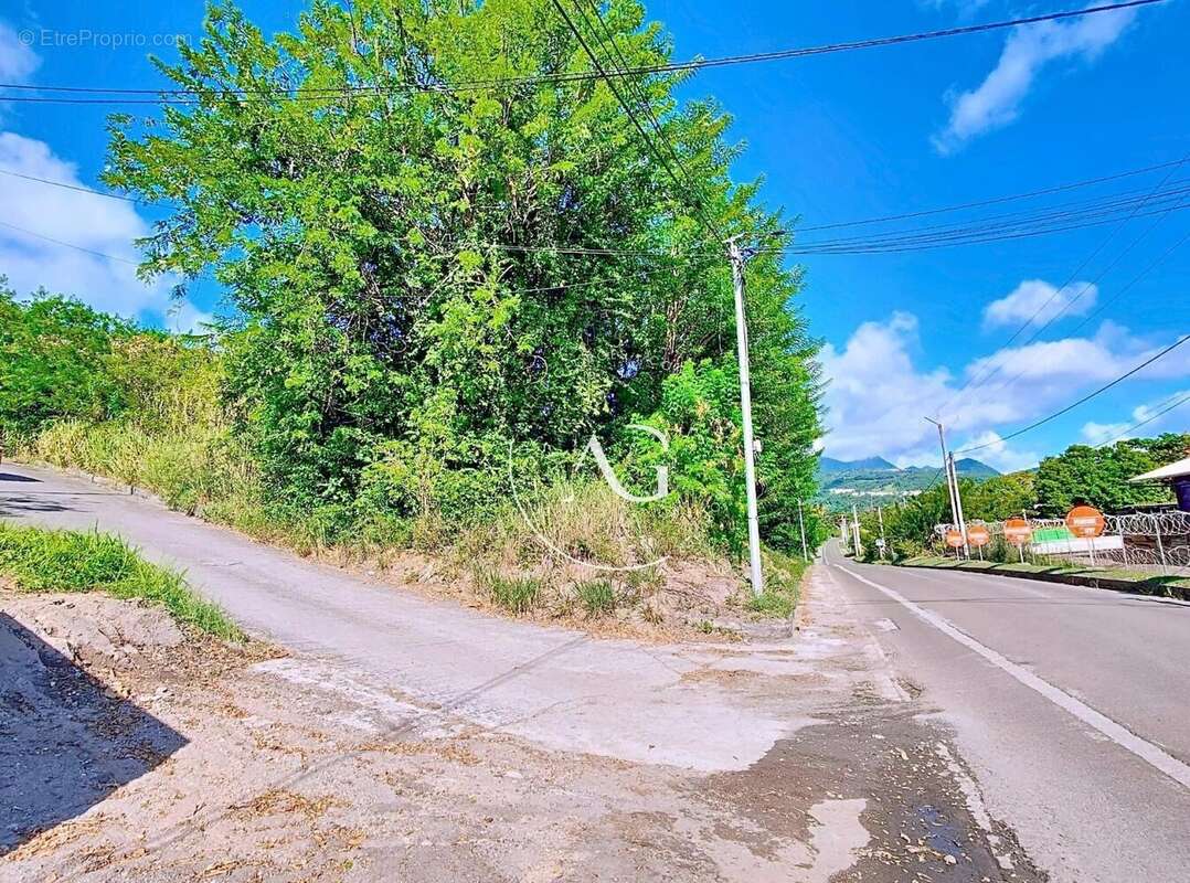 Photo 4 - Terrain à SAINT-PIERRE