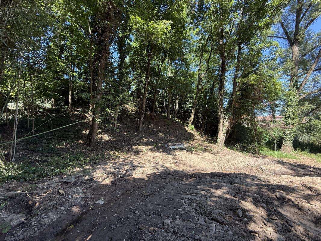 Terrain à CHAPONOST