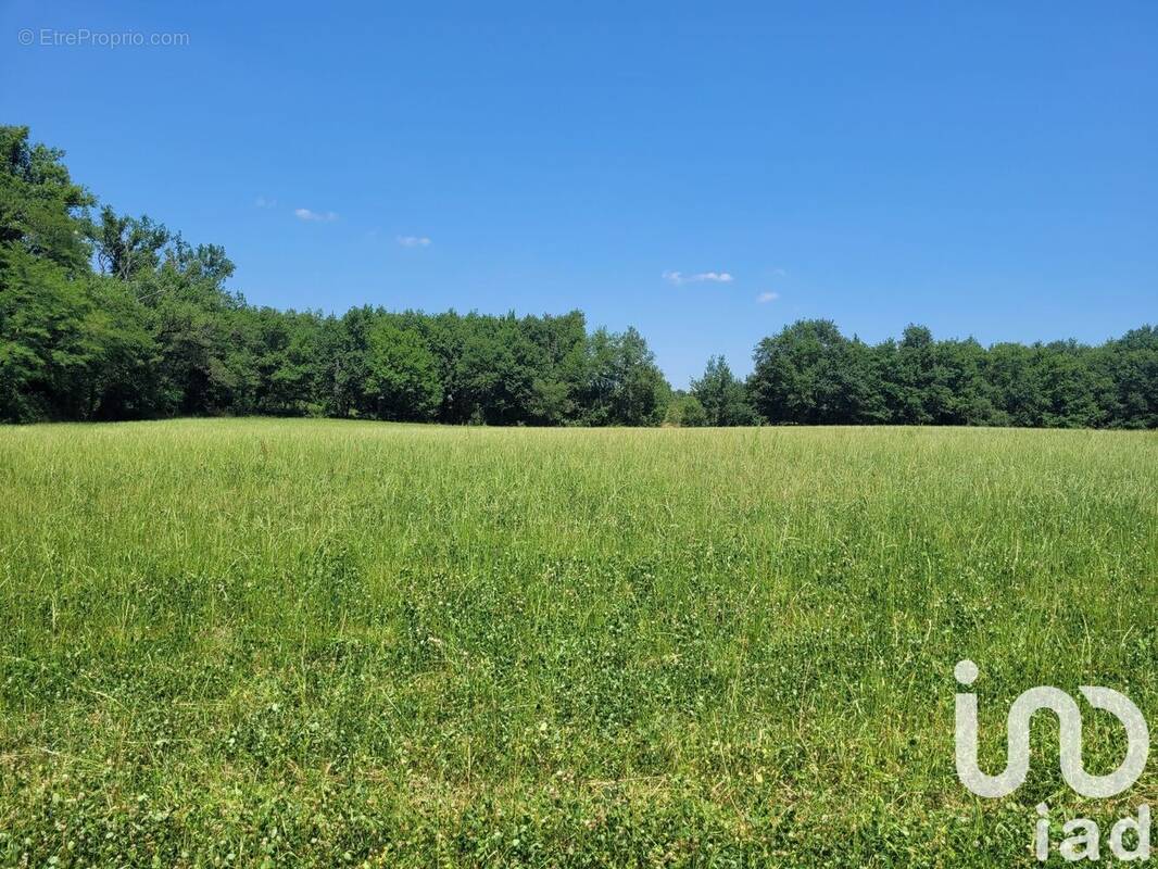 Photo 1 - Terrain à OBJAT