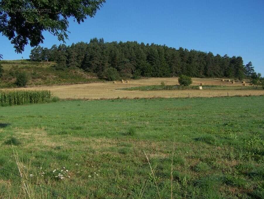 Terrain à YSSINGEAUX