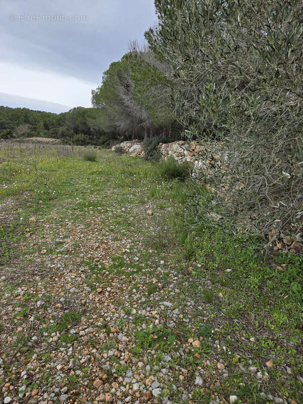 Terrain à FRONTIGNAN