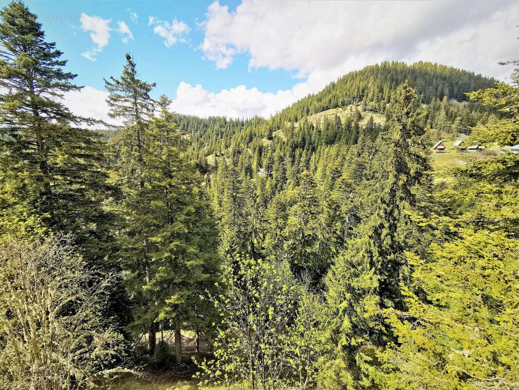 Photo 9 - Appartement à LA BOLLENE-VESUBIE