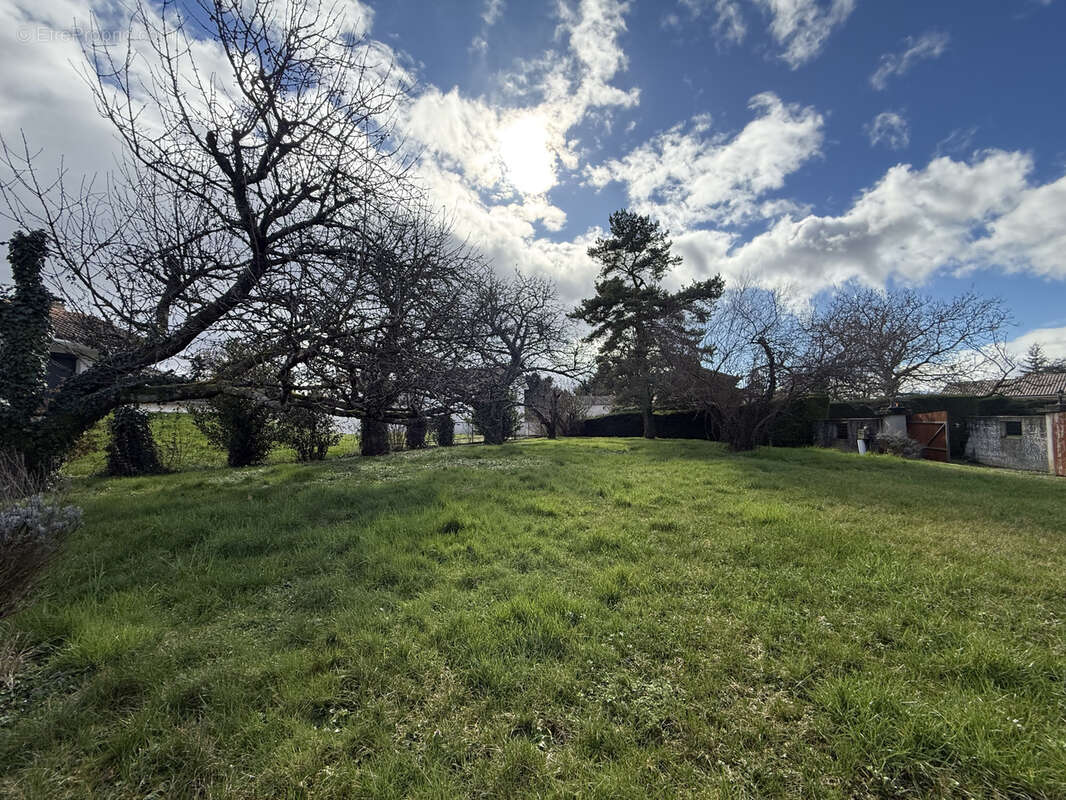 Terrain à CHONAS-L'AMBALLAN