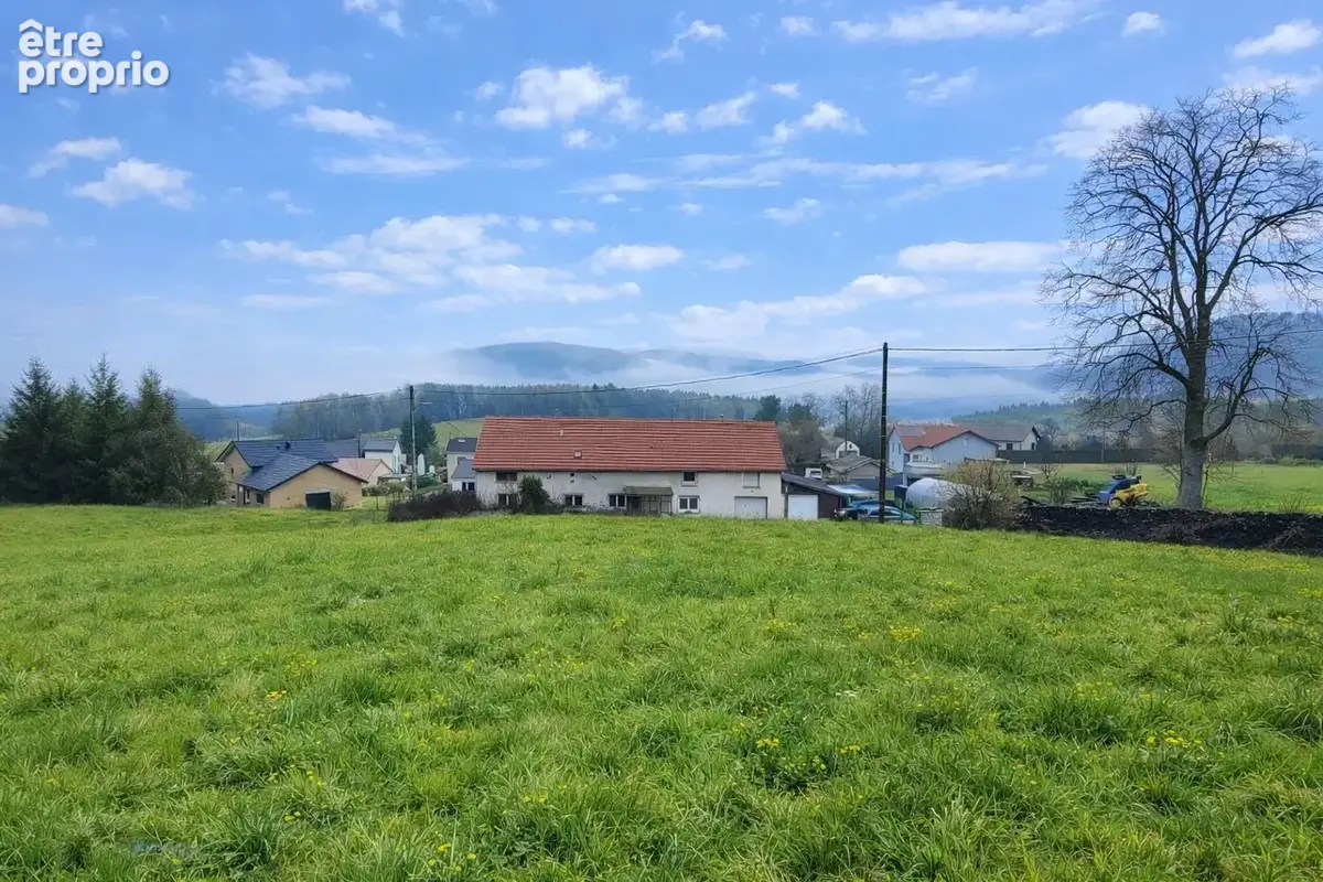 Terrain 2 010 m² à vendre à Moyenmoutier (88420) - photo 4