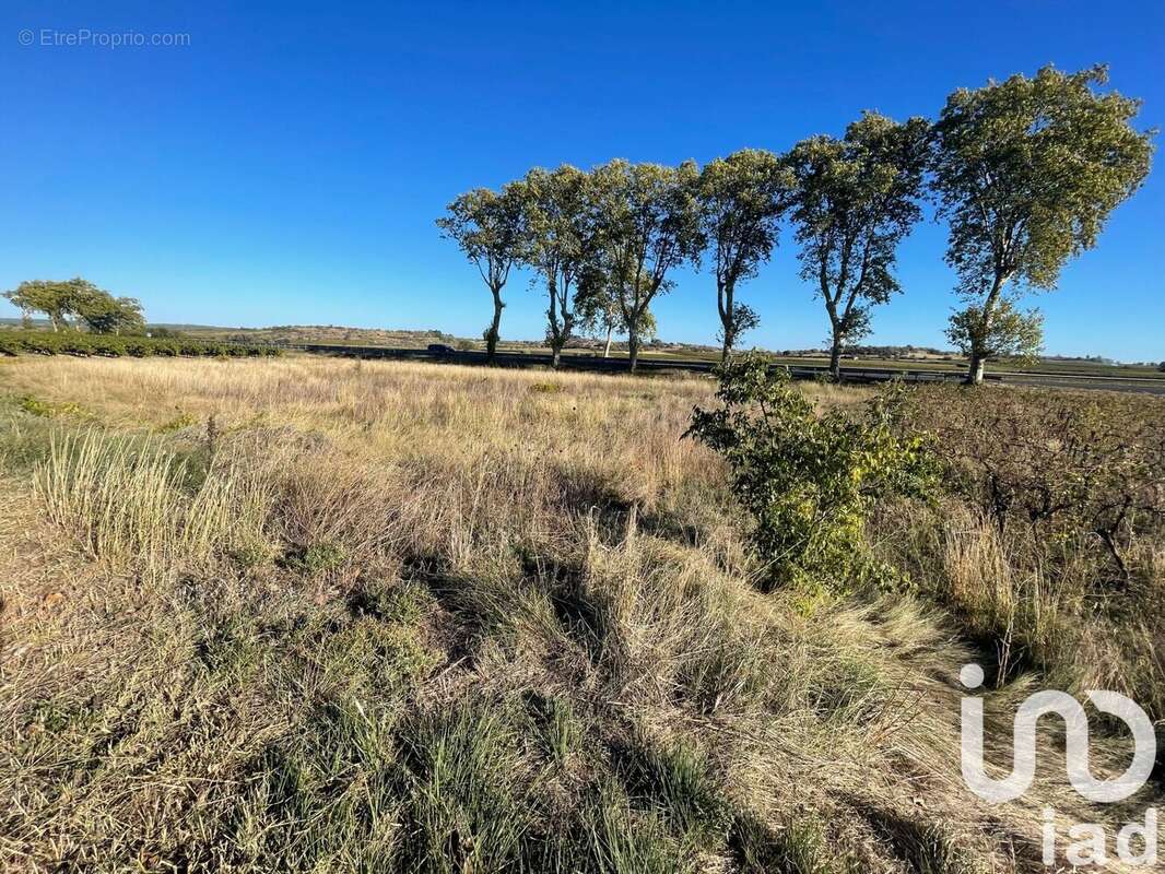 Photo 3 - Terrain à TOURBES