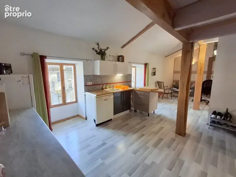 Appartement 10 pièces 300 m² à vendre à Largentiere (07110) - photo 3