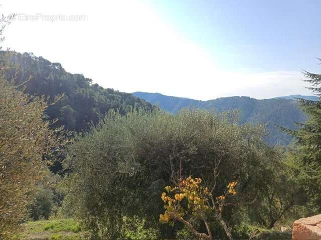 Maison à L&#039;ESCARENE