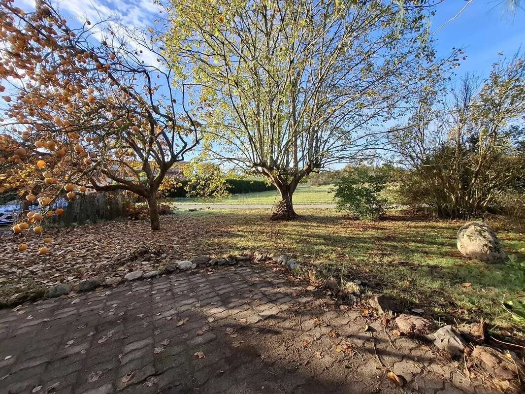 Maison à DAUMAZAN-SUR-ARIZE