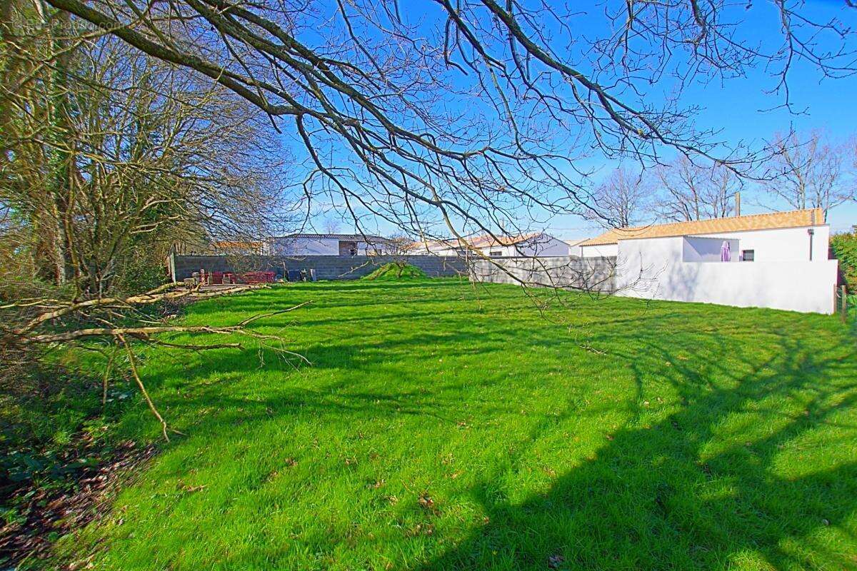 Terrain à SAINTE-FOY