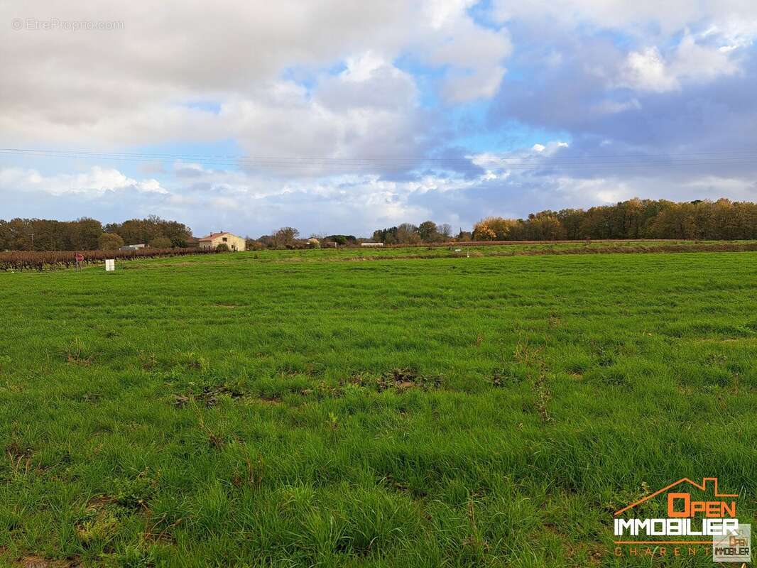 Terrain 1471 m² à Merignac  - photo 1