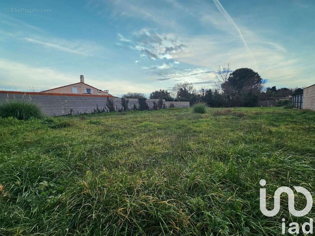 Photo 5 - Terrain à BOMPAS