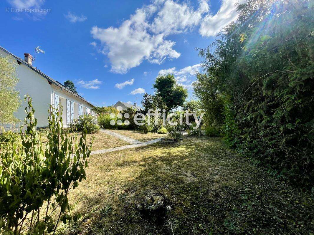 Maison à SAINT-JEAN-LE-BLANC