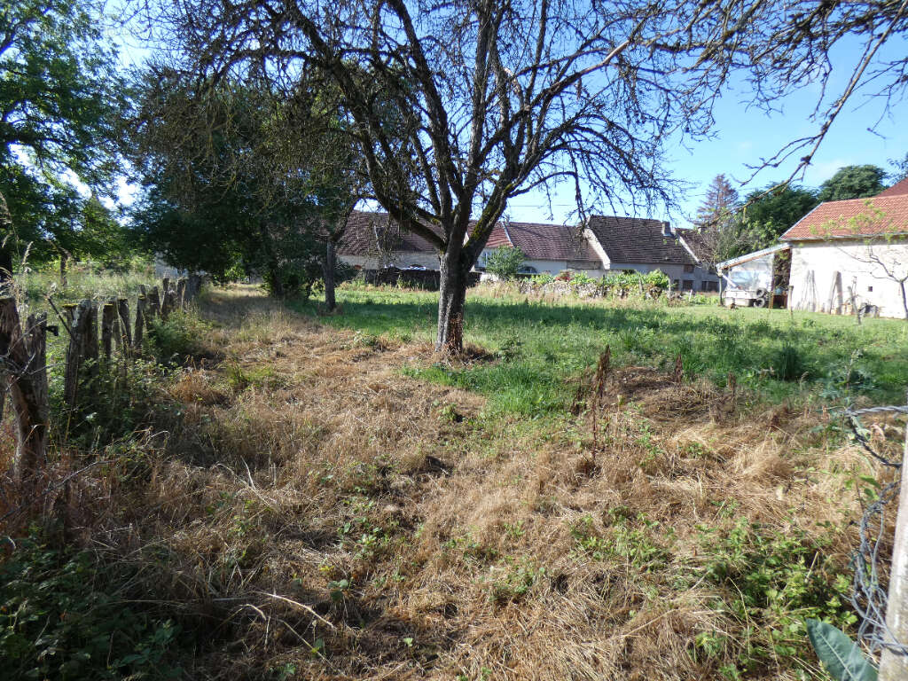 Terrain à RECOLOGNE-LES-RIOZ
