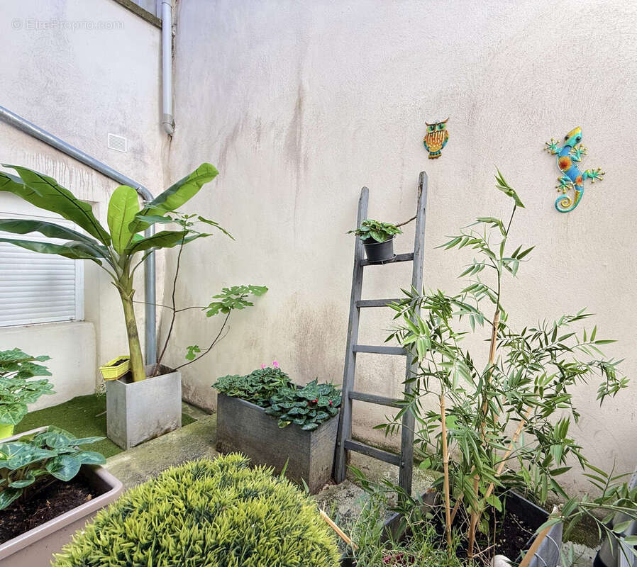 Commerce à CHAPONOST