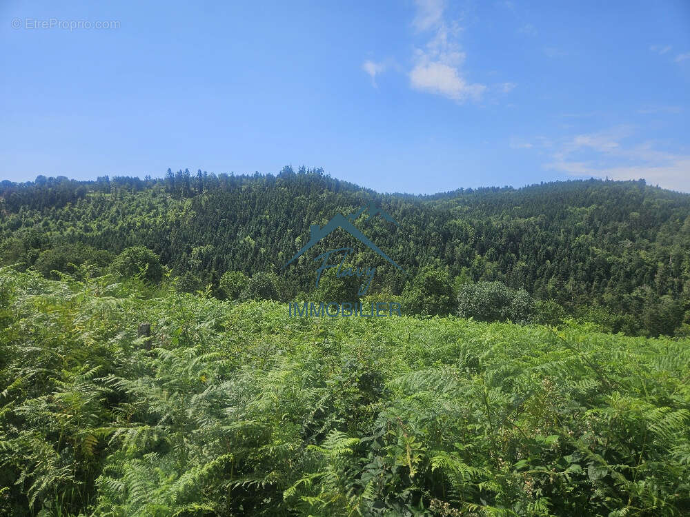 Terrain de 6500m2 dont 2300m2 constructible - photo 4