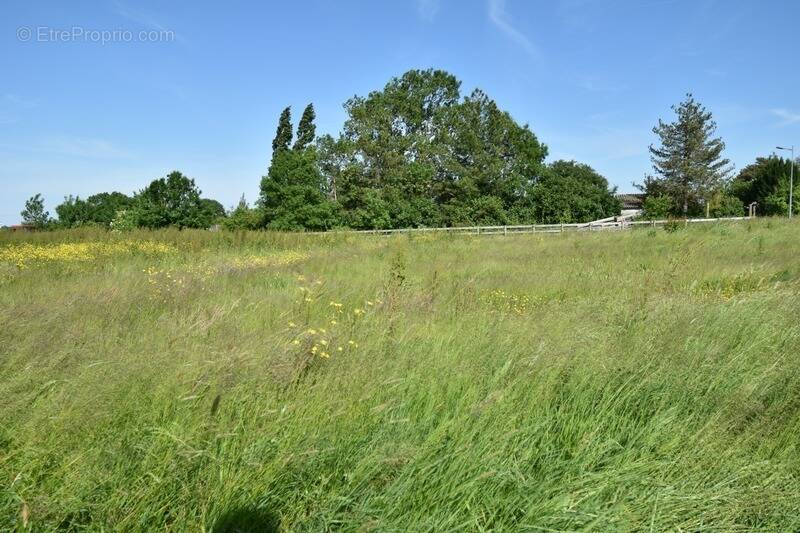 Terrain à SAINT-MARS-LA-JAILLE