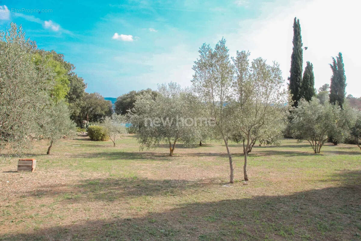 Maison à MONTAUROUX