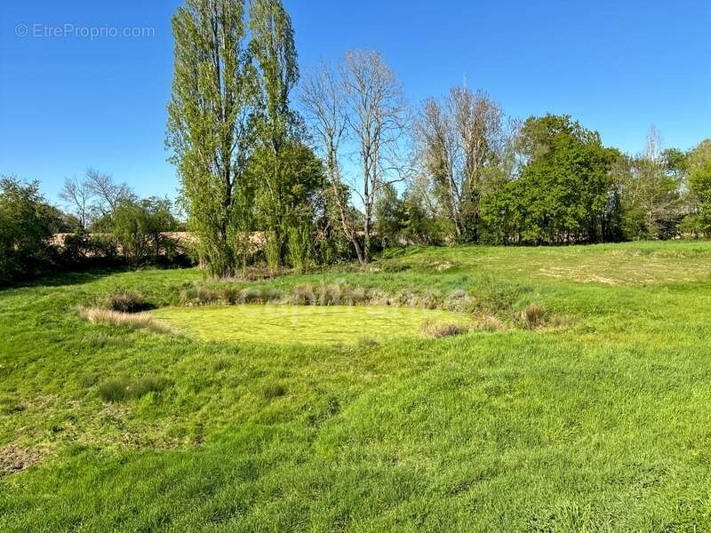 MARESCHE (72) à vendre longère 4 chambres sur 7300 m2 - photo 15
