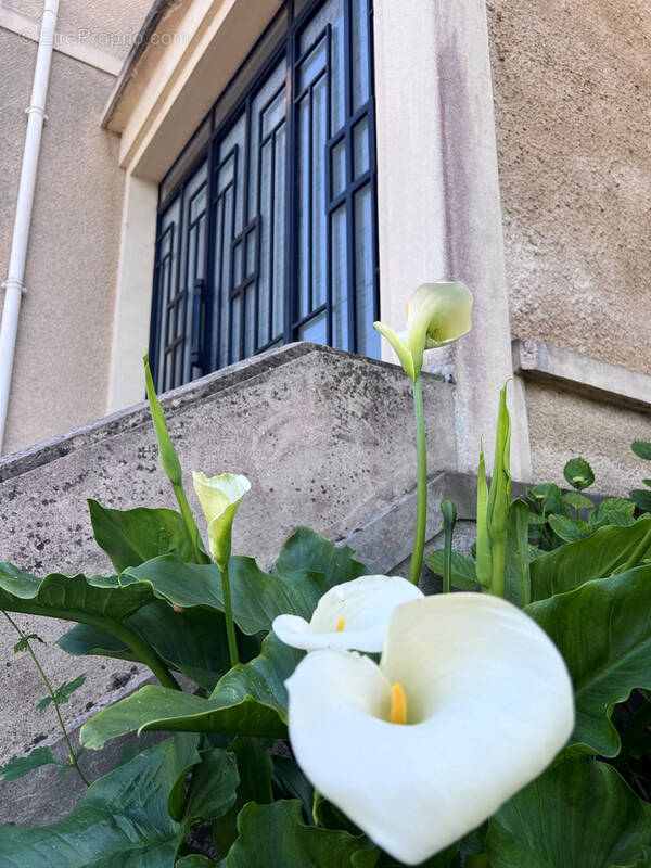 Maison à NANGIS