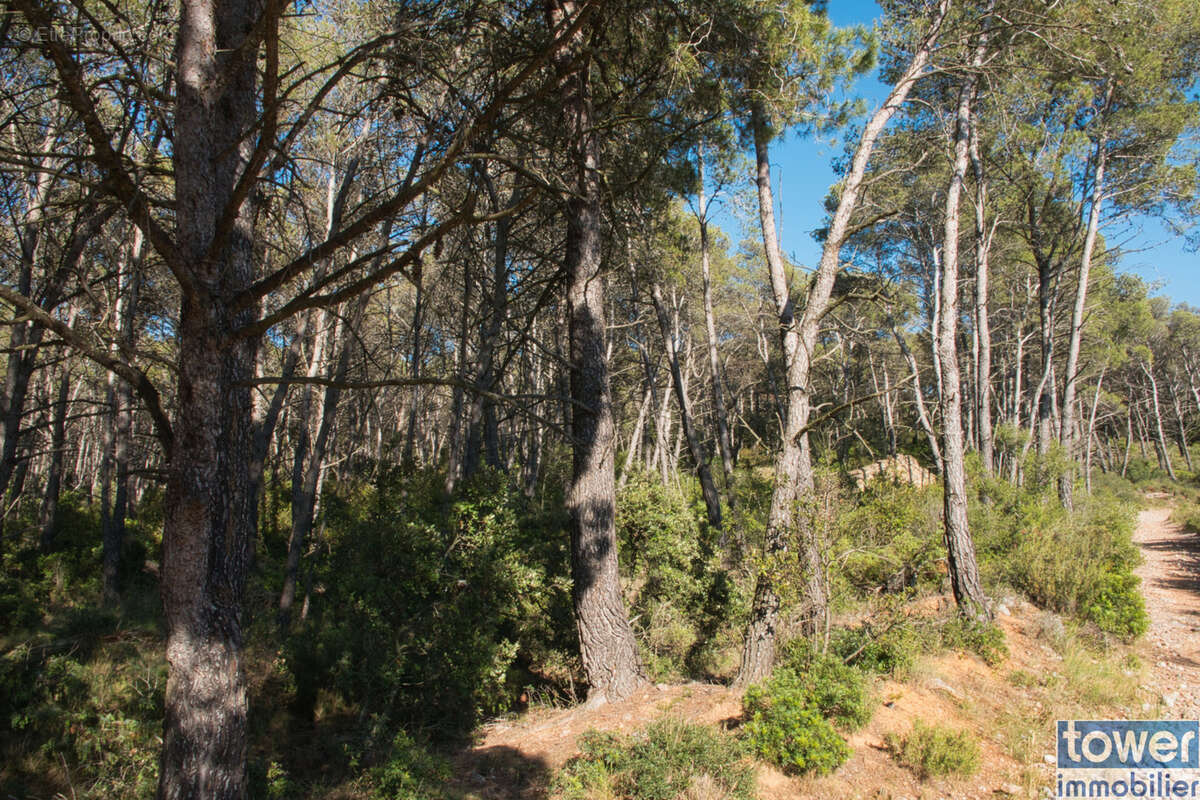 Terrain à FABREZAN