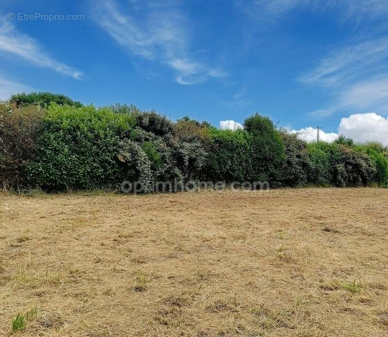 Terrain à PEYREHORADE