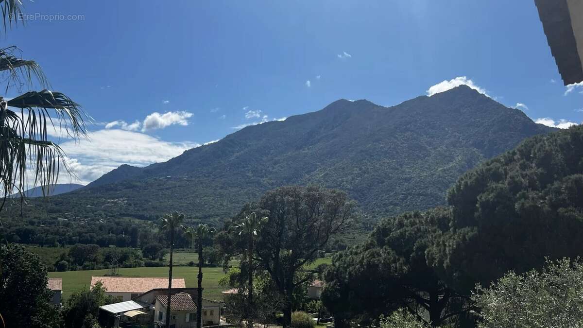 Appartement à SAN-NICOLAO