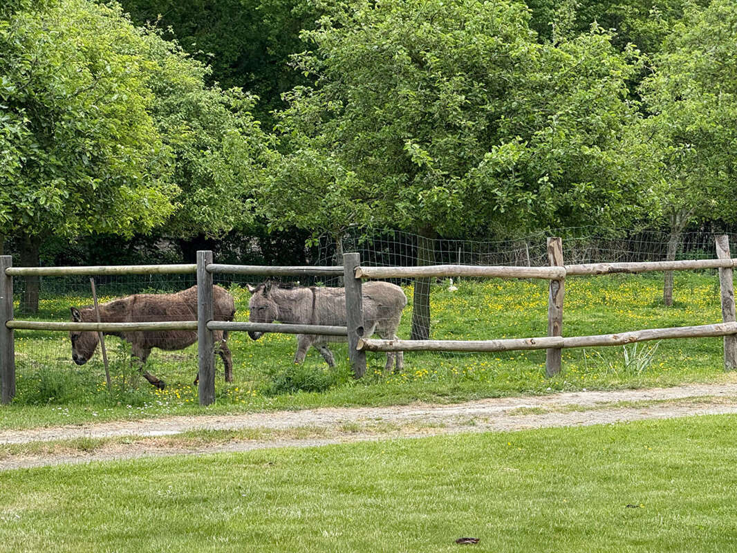 Maison à SAINT-MALO