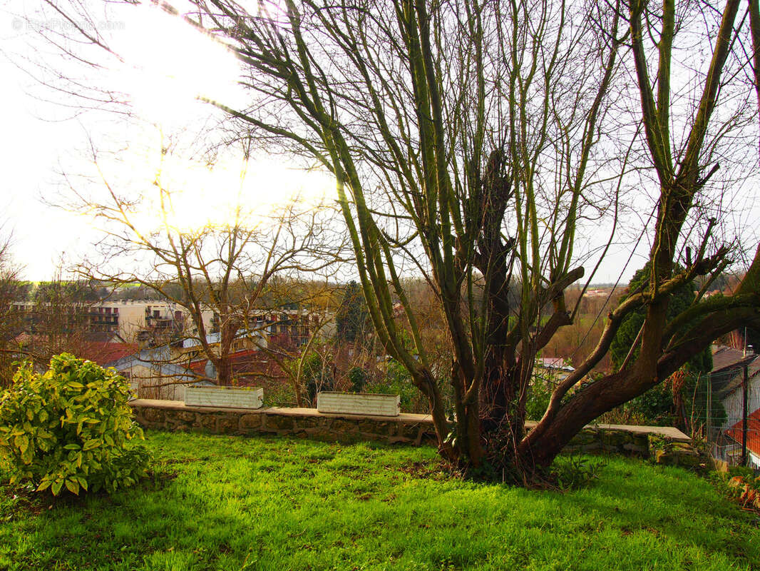 Terrain à LE THILLAY
