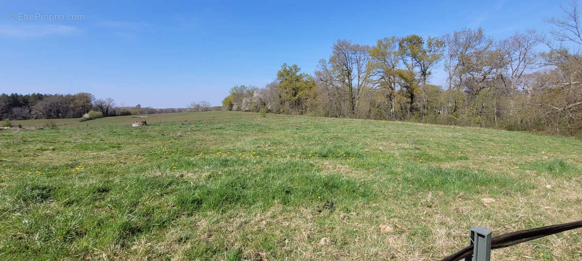 Maison à MIRAMONT-SENSACQ