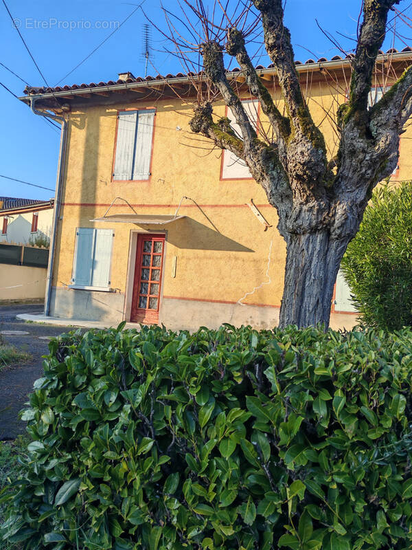 Maison à LISLE-SUR-TARN