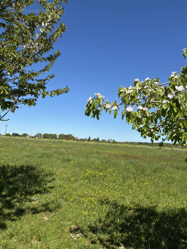 Terrain à CLOUE