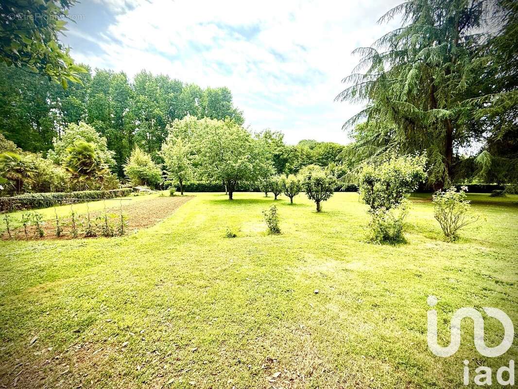 Photo 3 - Maison à CELLES-SUR-BELLE