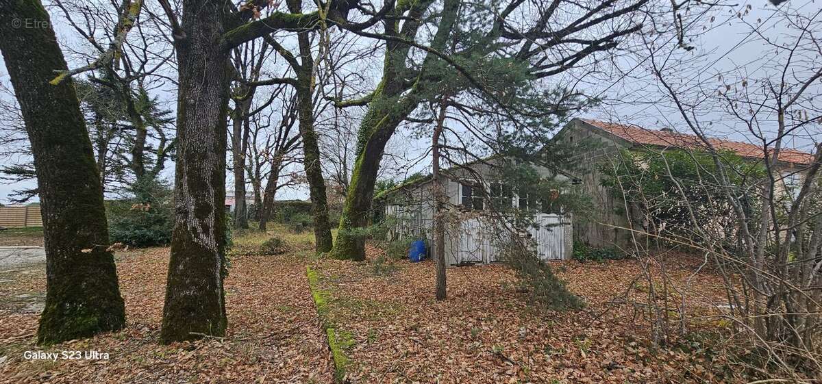 Terrain à VOEUIL-ET-GIGET