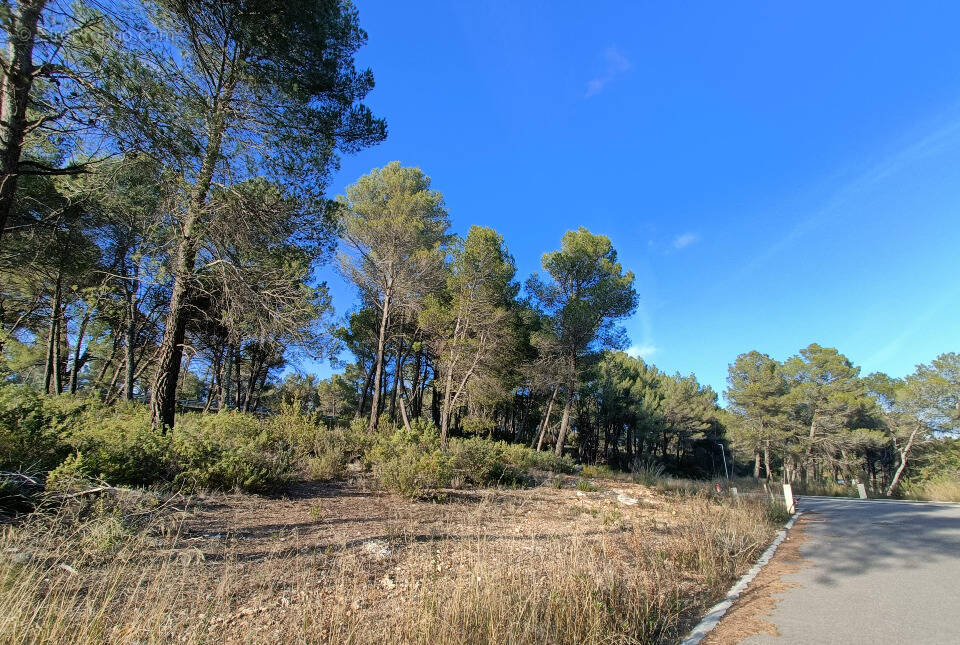 Terrain à SALERNES