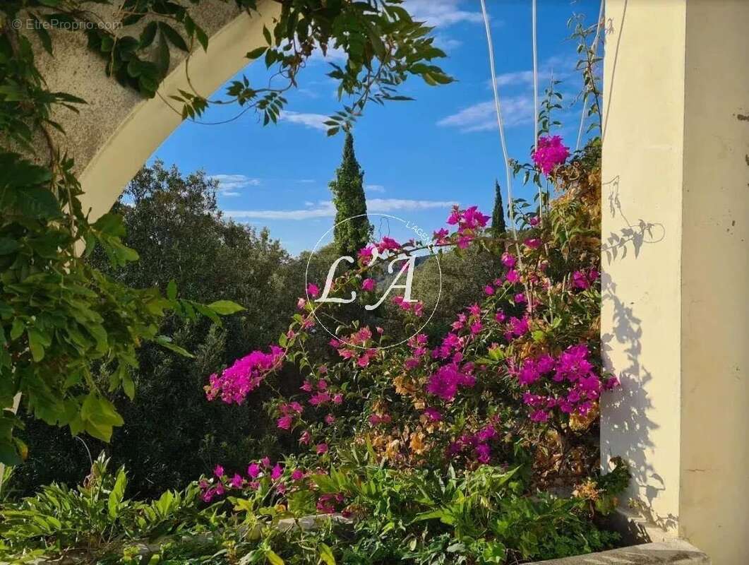 Maison à SARI-SOLENZARA