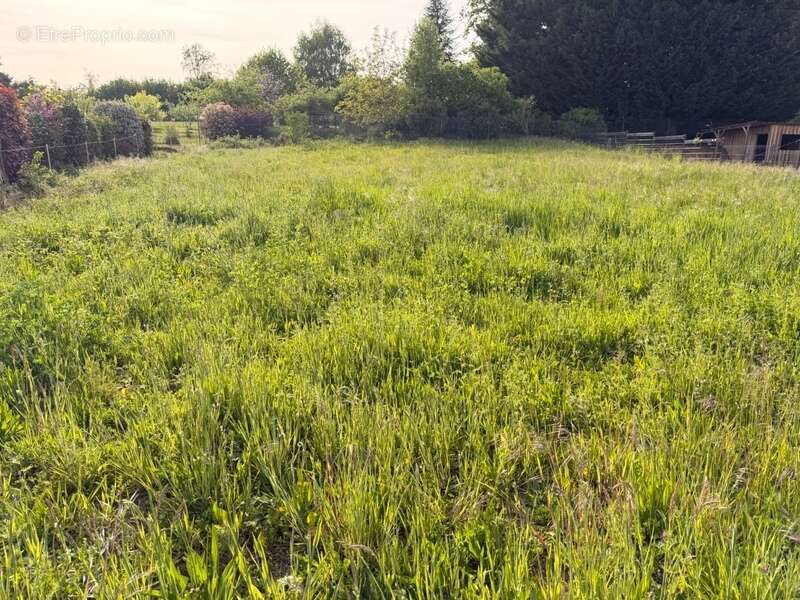 Terrain à AUXONNE