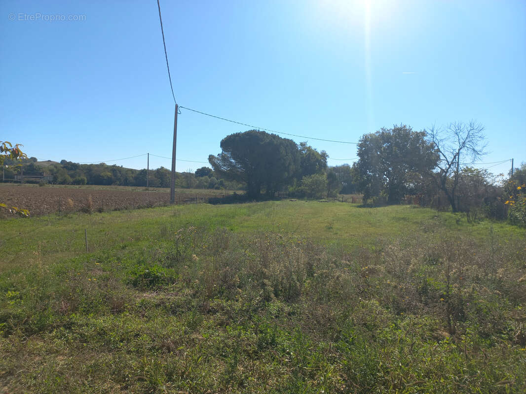 Belle maison - photo 16