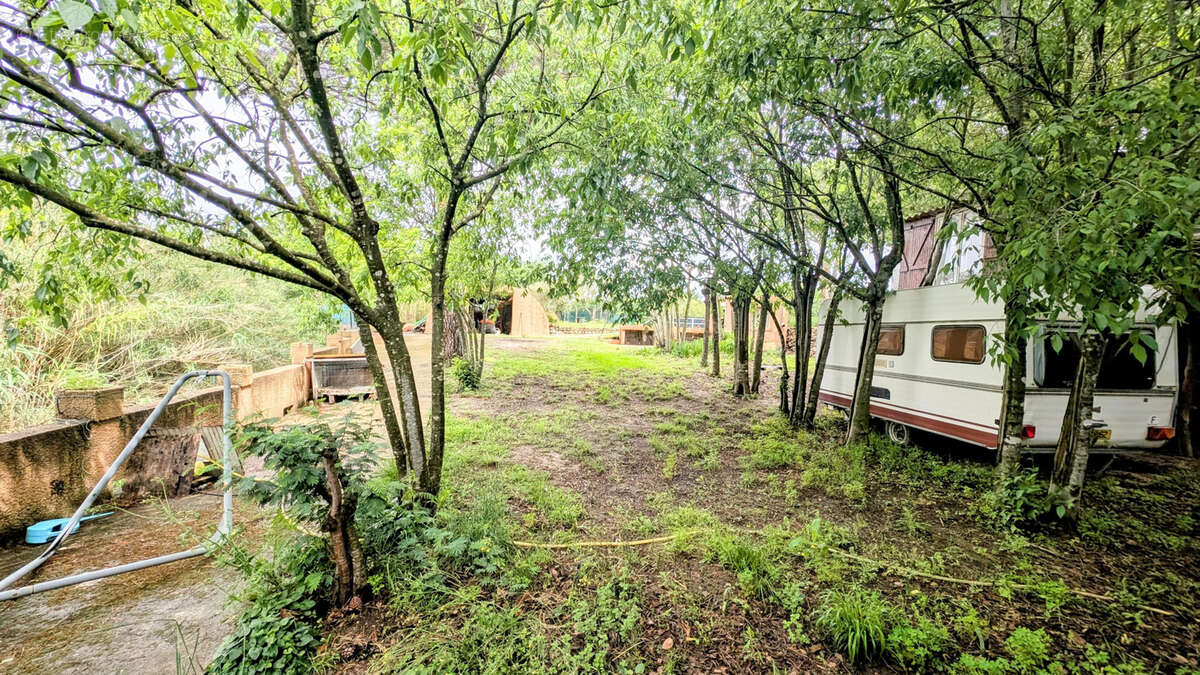 Terrain à LAROQUE-DES-ALBERES