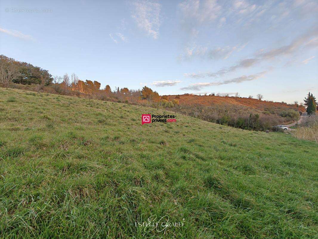 Terrain à bâtir Caunes Minervois 4130 m2 - photo 6