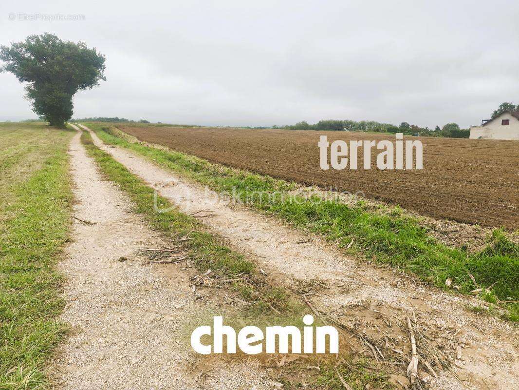 Terrain à FLACEY-EN-BRESSE