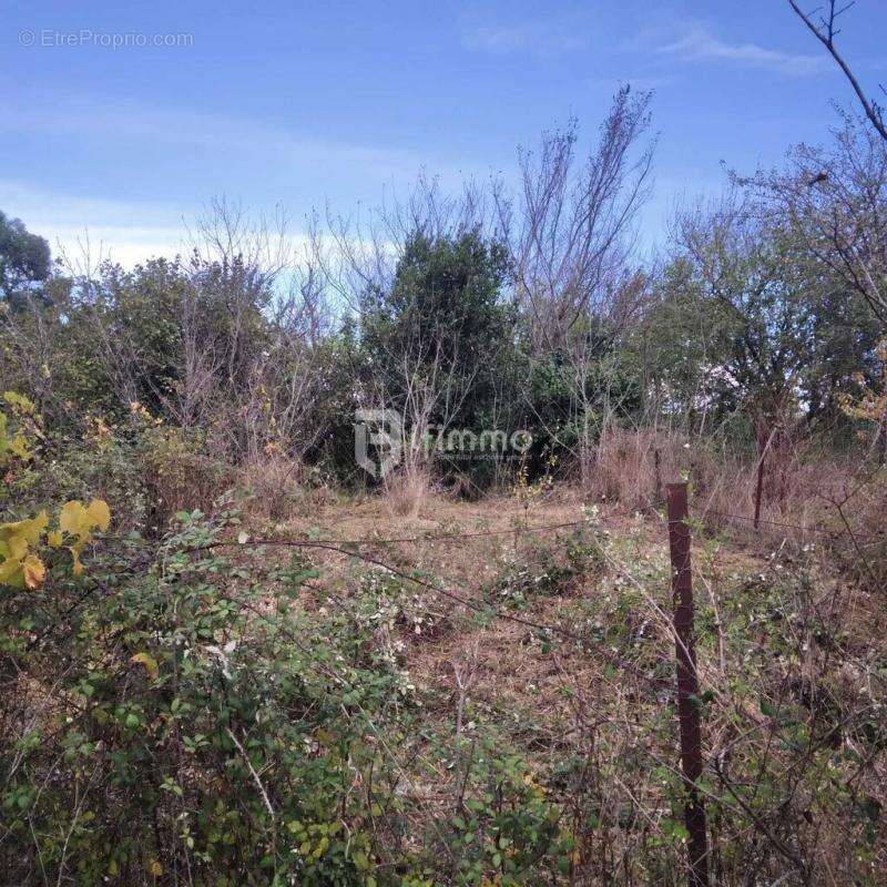 Maison à SAINT-CIERS-SUR-GIRONDE