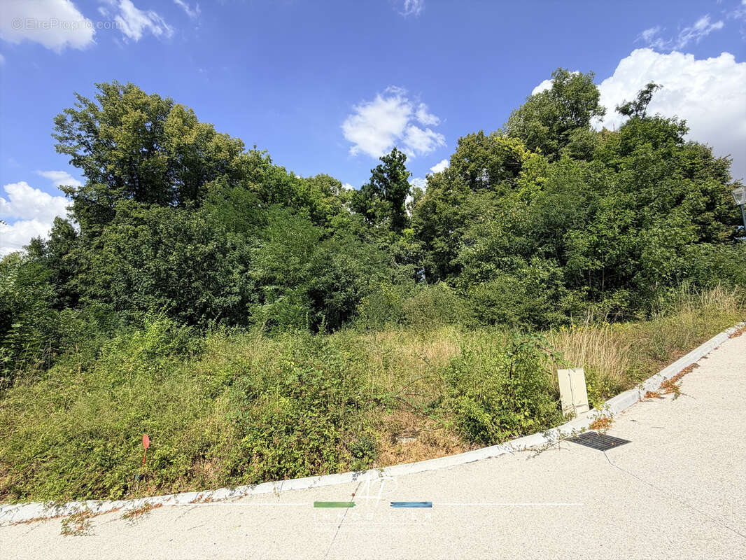 Terrain à bâtir de 2972m2 libre de constructeur - Arceau 21310 - photo 4