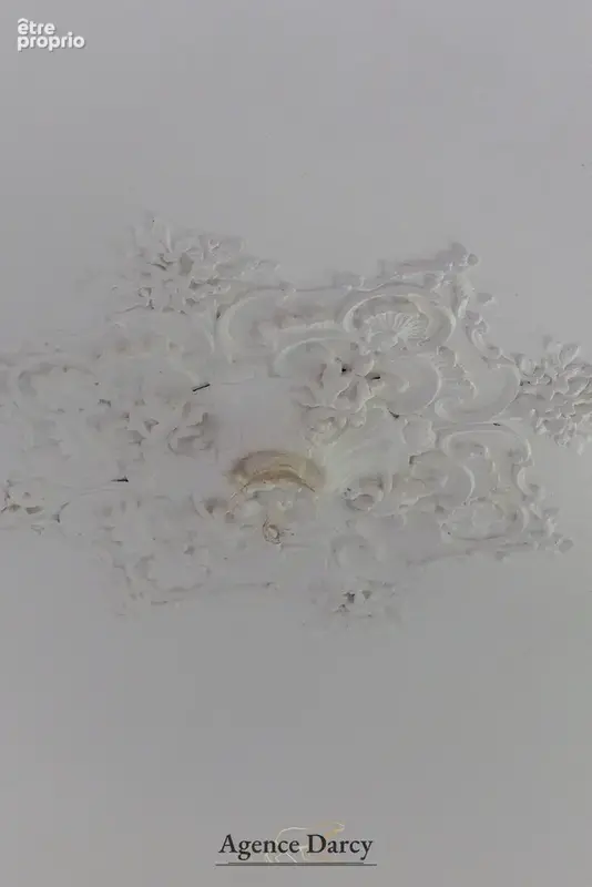 Appartement/maison d’exception à deux pas de la place Darcy avec jardin - photo 13