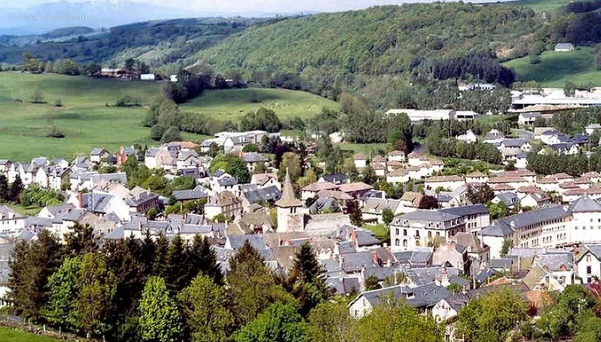 RIOM-ES-MONTAGNES  : Idéal investissement locatif - photo 4