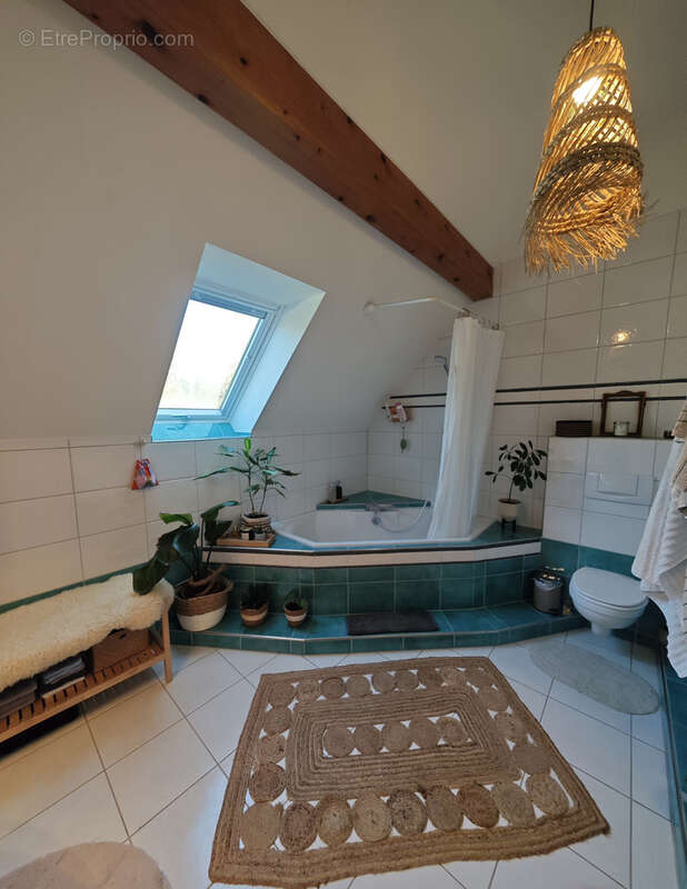 Appartement à HEGENHEIM