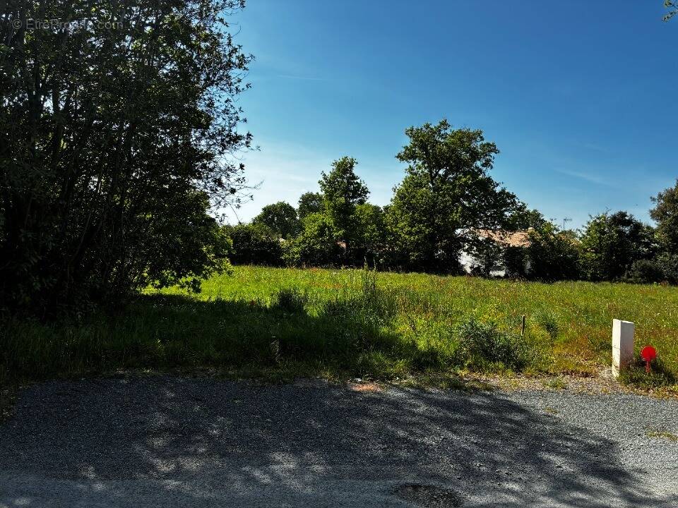 Terrain à COMMEQUIERS